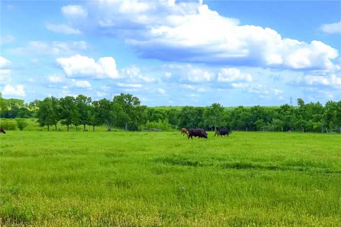 photo 38: 1005 Upper Elgin River Road, Elgin TX 78621