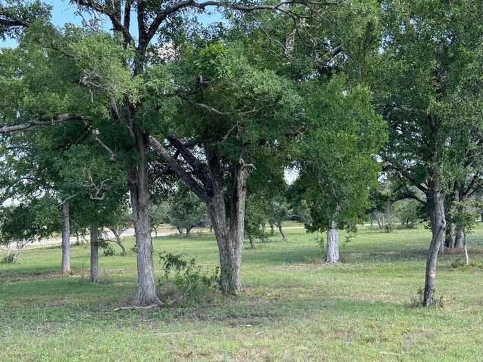 photo 11: Tract 34 Burnet Oaks, Burnet TX 78611