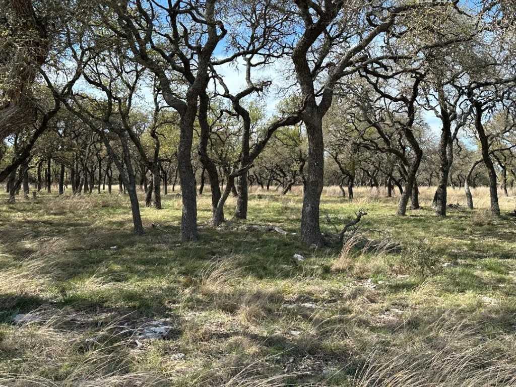 photo 1: Lot 142a Oryx Lane, Lampasas TX 76550