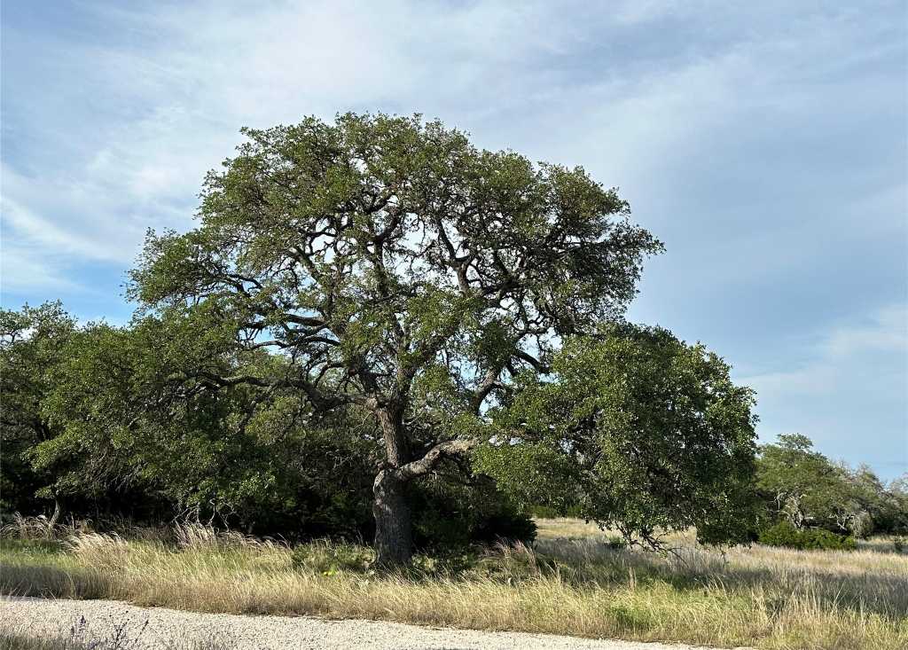 photo 2: Lot 142a Oryx Lane, Lampasas TX 76550