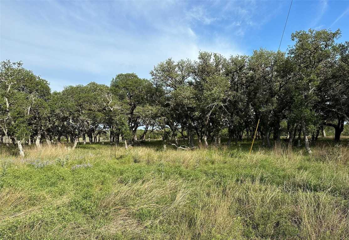 photo 3: Lot 142a Oryx Lane, Lampasas TX 76550