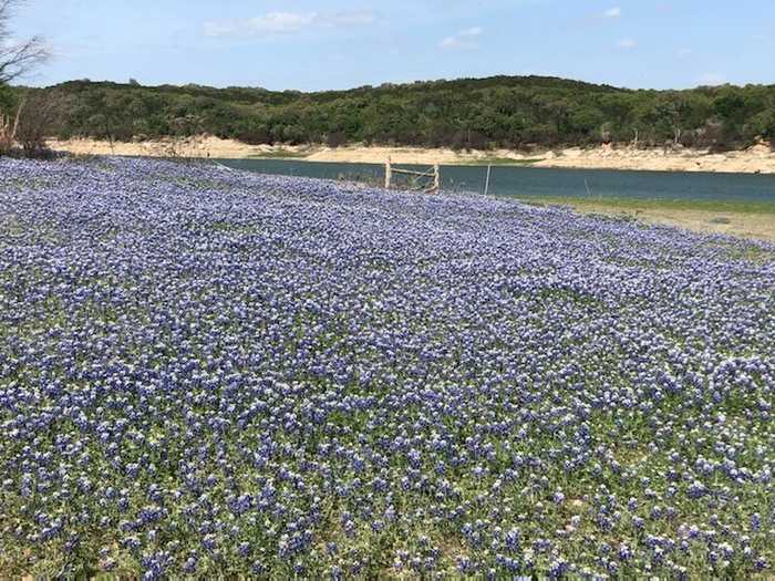 photo 21: Lot 18 South Cove, Spicewood TX 78669