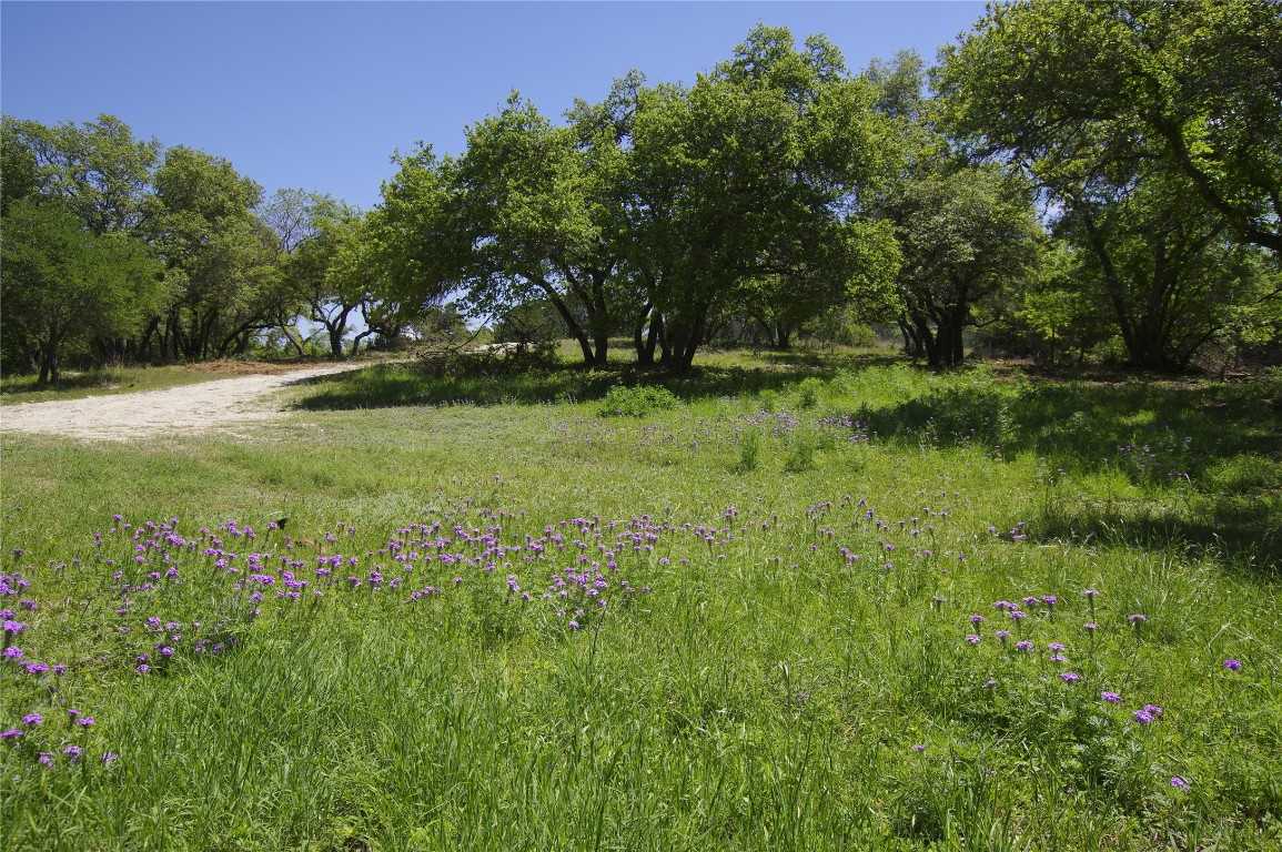 photo 3: 22007 Nameless Road, Leander TX 78641