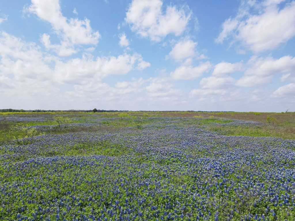 photo 3: TBD County Road 273 #3, Cameron TX 76570