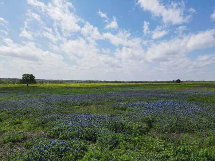 photo 2: TBD County Road 273 #3, Cameron TX 76570