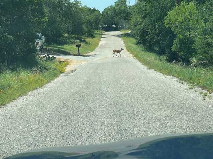 photo 38: TBD Castlelakes Drive, Marble Falls TX 78654