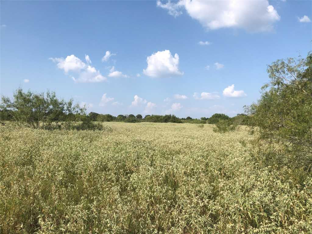 photo 3: Lot 4D Wild Plum Road, Lockhart TX 78644