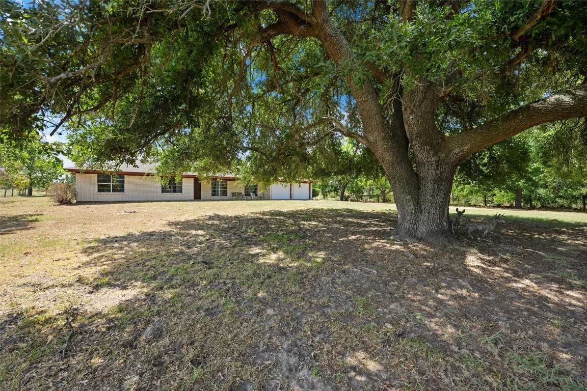 photo 3: 1768 County Road 449, Thorndale TX 76577