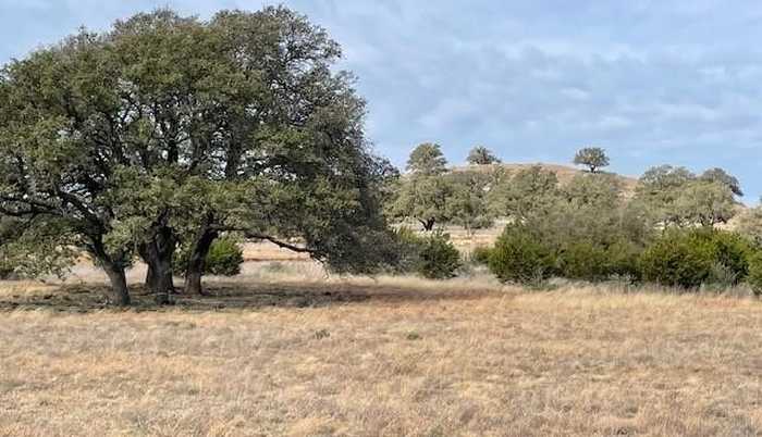 photo 11: 2078 W Ranch Road 962 LOT 18 Road, Round Mountain TX 78663