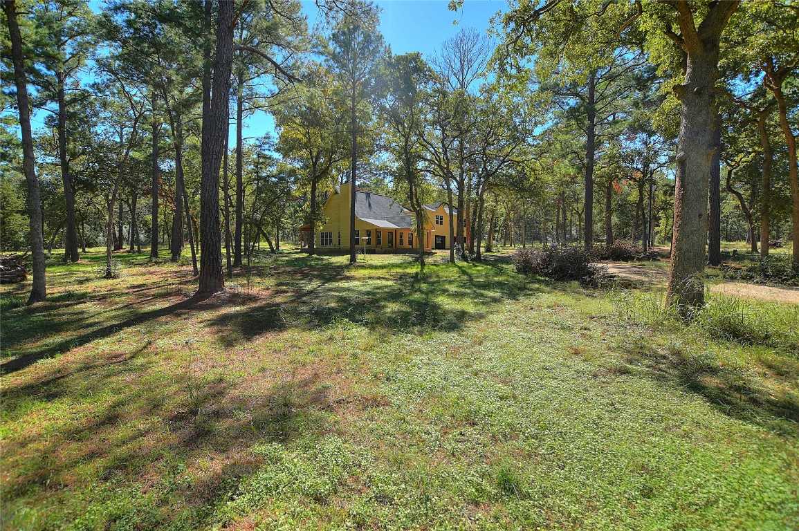 photo 1: 119 Cannon Lane, Bastrop TX 78602