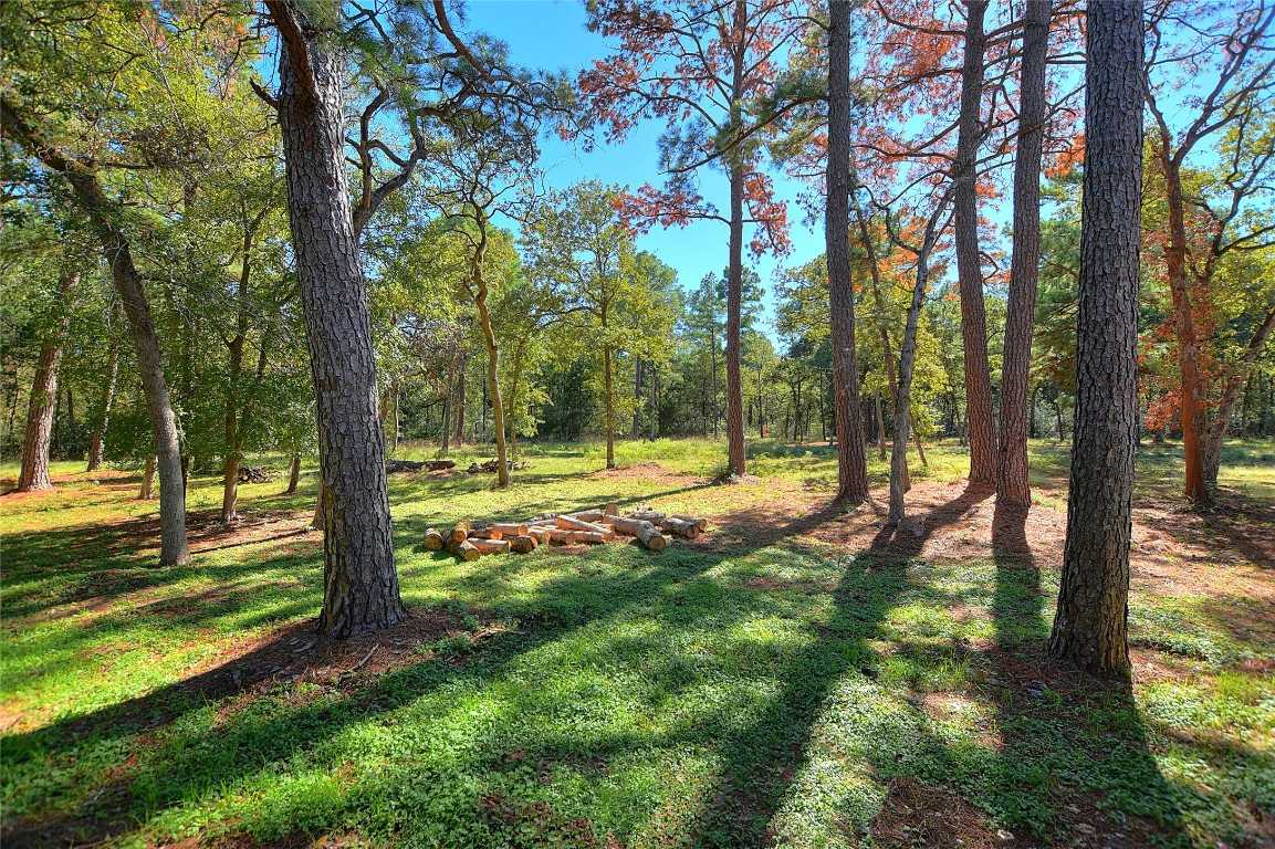 photo 3: 119 Cannon Lane, Bastrop TX 78602