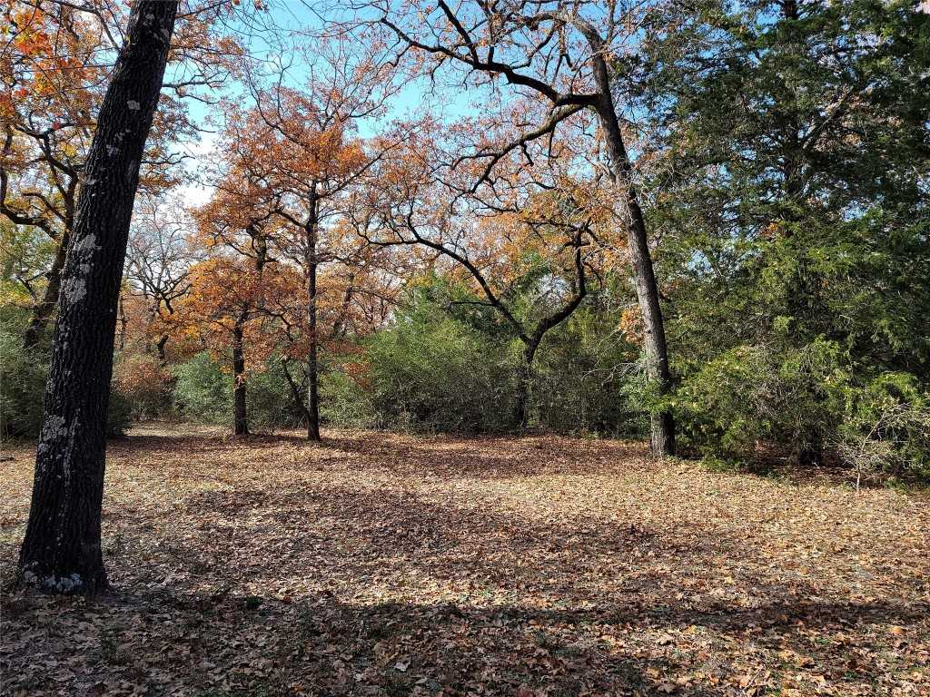 photo 3: 1161 Private Road 3063, Lexington TX 78947