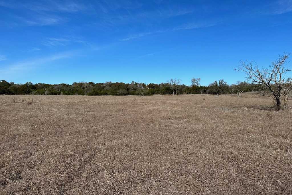 photo 2: 301 County Road 285, Liberty Hill TX 78642