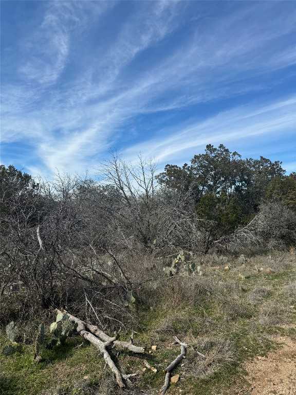 photo 3: Lot 7 Radium Drive, Burnet TX 78611