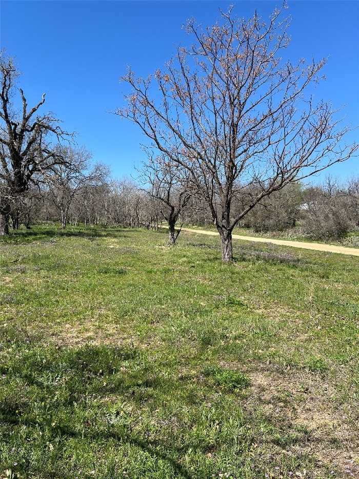 photo 9: Lot 398 E. Mesquite Drive, Granite Shoals TX 78654