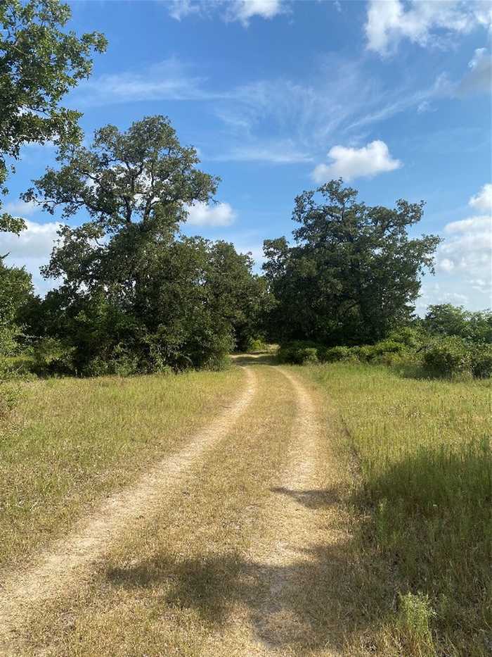 photo 2: TBD Private Road 2904, Giddings TX 78942