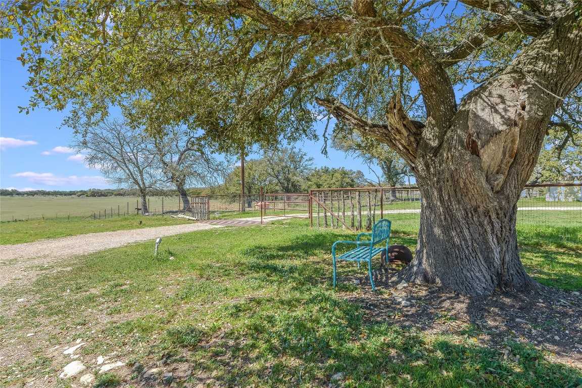 photo 3: 5901 RR 1869, Liberty Hill TX 78642