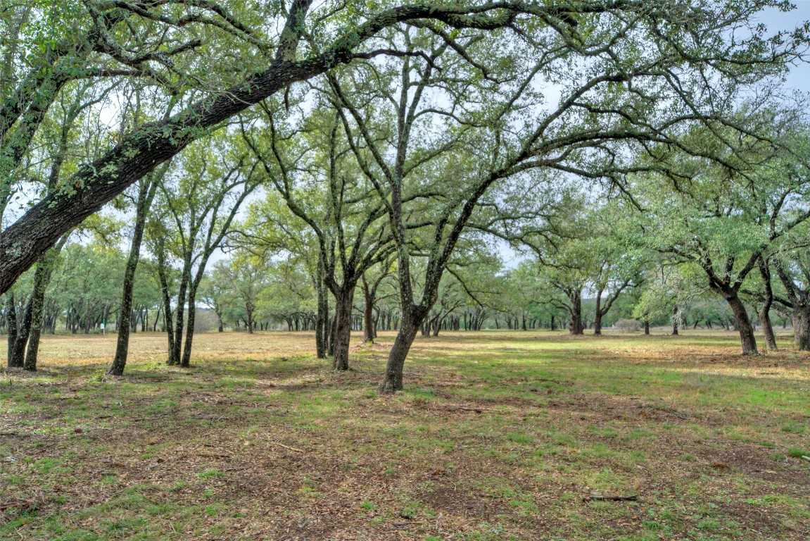 photo 3: 24525 Pedernales Canyon Trail, Spicewood TX 78669