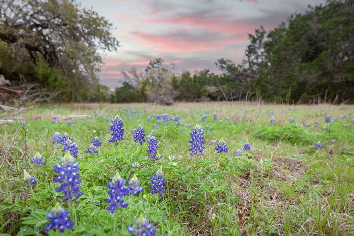 photo 28: 13109 Fieldstone Loop, Austin TX 78737