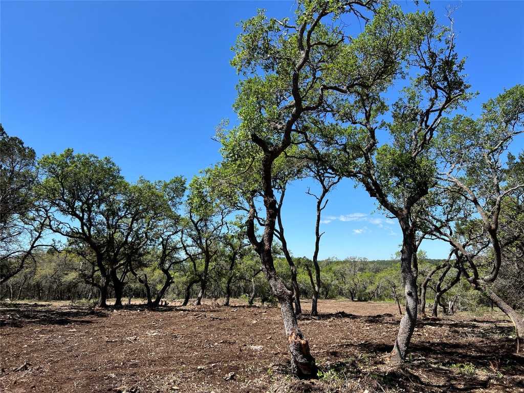 photo 1: 13.26 Acres Pump Station, Wimberley TX 78676