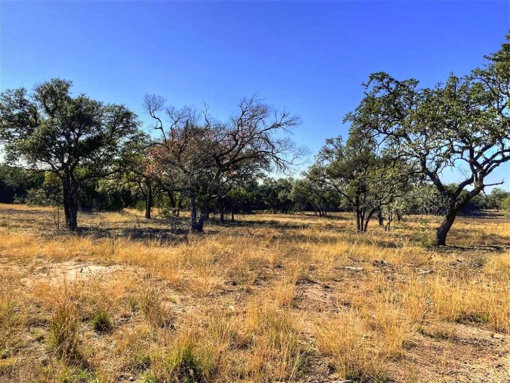 photo 3: Tract 15 Lot 15 CR 335, Burnet TX 78611