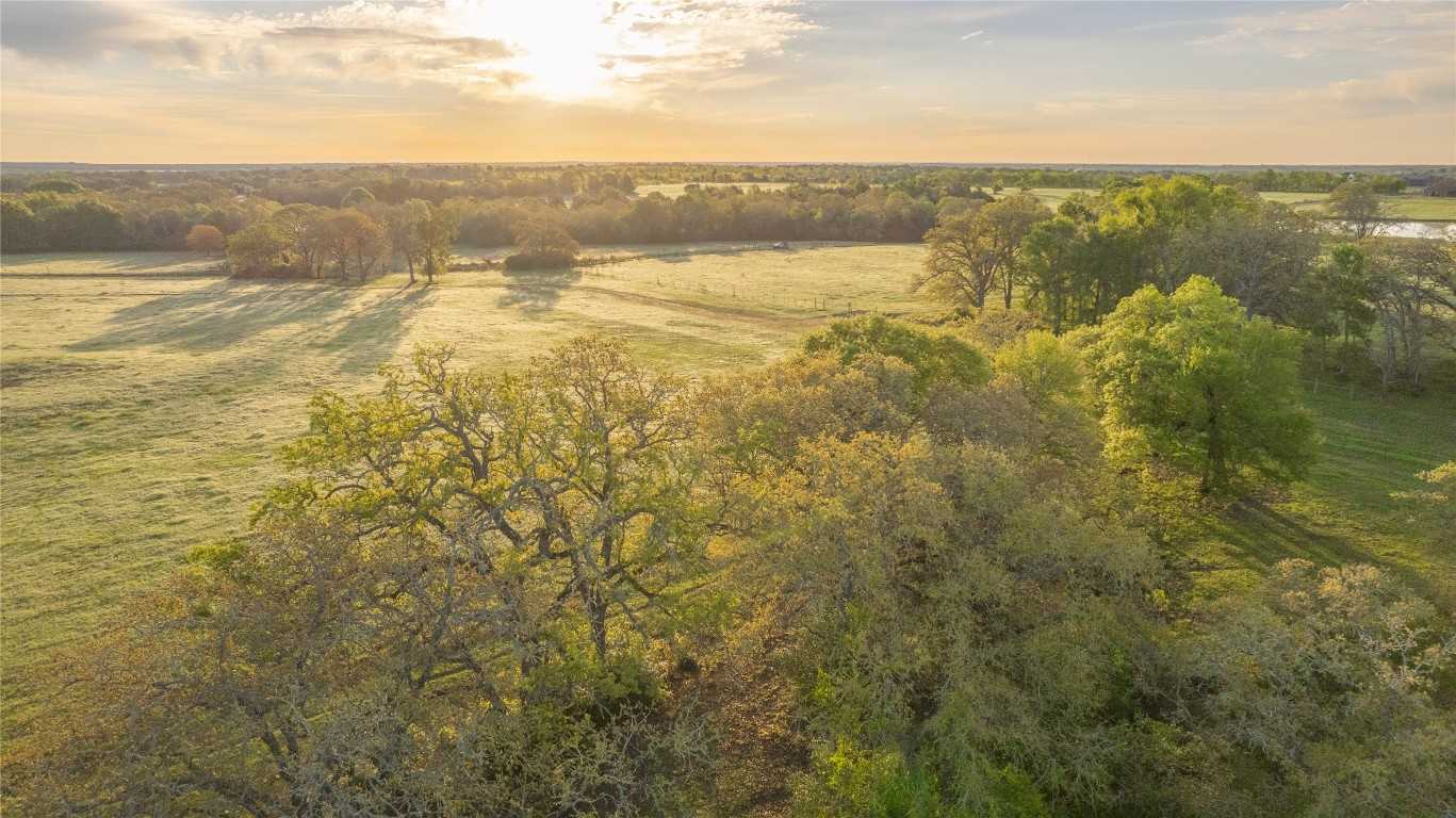 photo 3: 1241 County Road 406, Lexington TX 78947