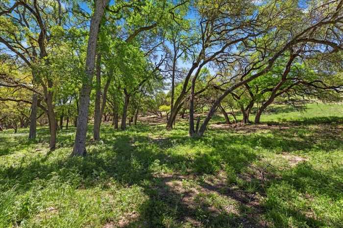 photo 28: 729 Rabbit Road, Wimberley TX 78676