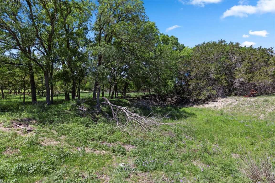 photo 3: 729 Rabbit Road, Wimberley TX 78676