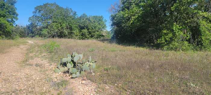 photo 1: 156 Lone Star Circle, Bastrop TX 78602