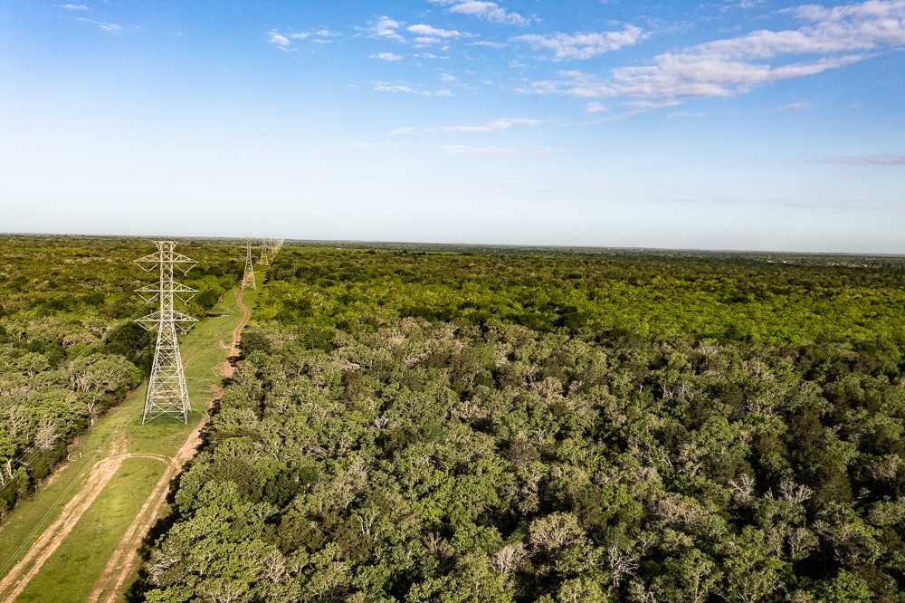 photo 1: TBD Anchor Ranch Lp Loop, Cistern TX 78941