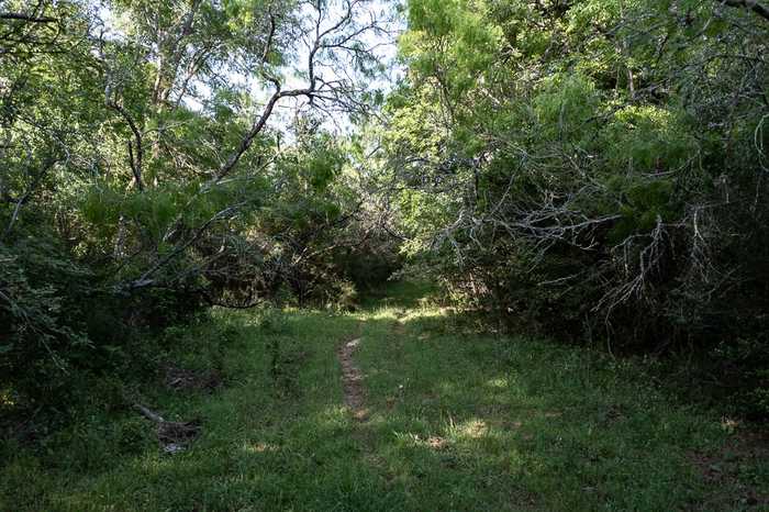 photo 15: TBD Anchor Ranch Lp Loop, Cistern TX 78941