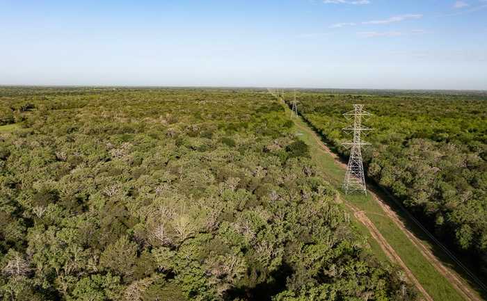 photo 2: TBD Anchor Ranch Lp Loop, Cistern TX 78941