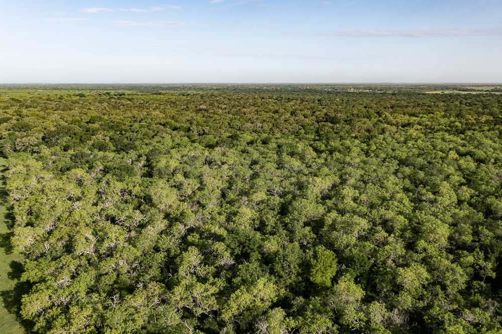 photo 3: TBD Anchor Ranch Lp Loop, Cistern TX 78941