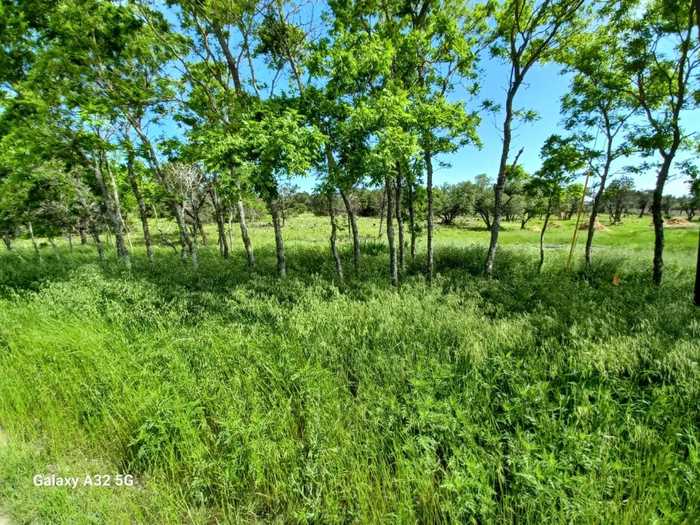 photo 1: 319 Sunset Drive Unit Lot 1and Lot 2, Burnet TX 78611