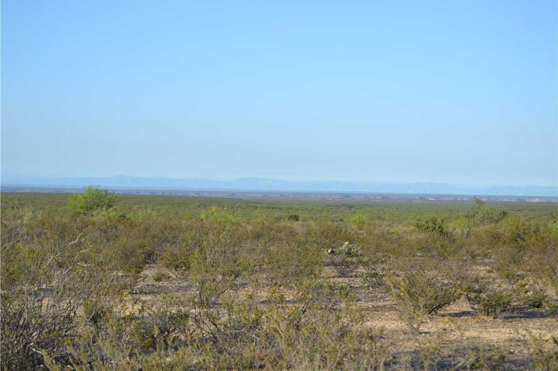 photo 3: Pumpville Road, Out of State TX 78871