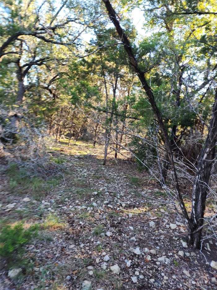 photo 4: Apple Springs Drive, Leander TX 78641