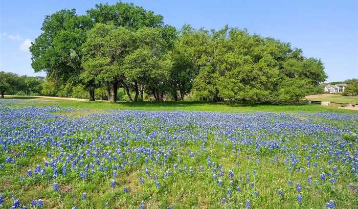 photo 1: 27132 Founders Place, Spicewood TX 78669