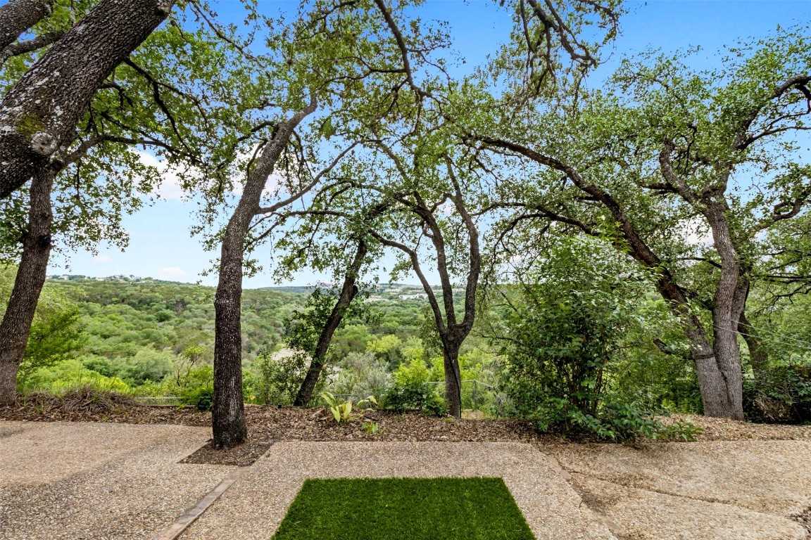 photo 3: 1806 Glencliff Drive, Austin TX 78704