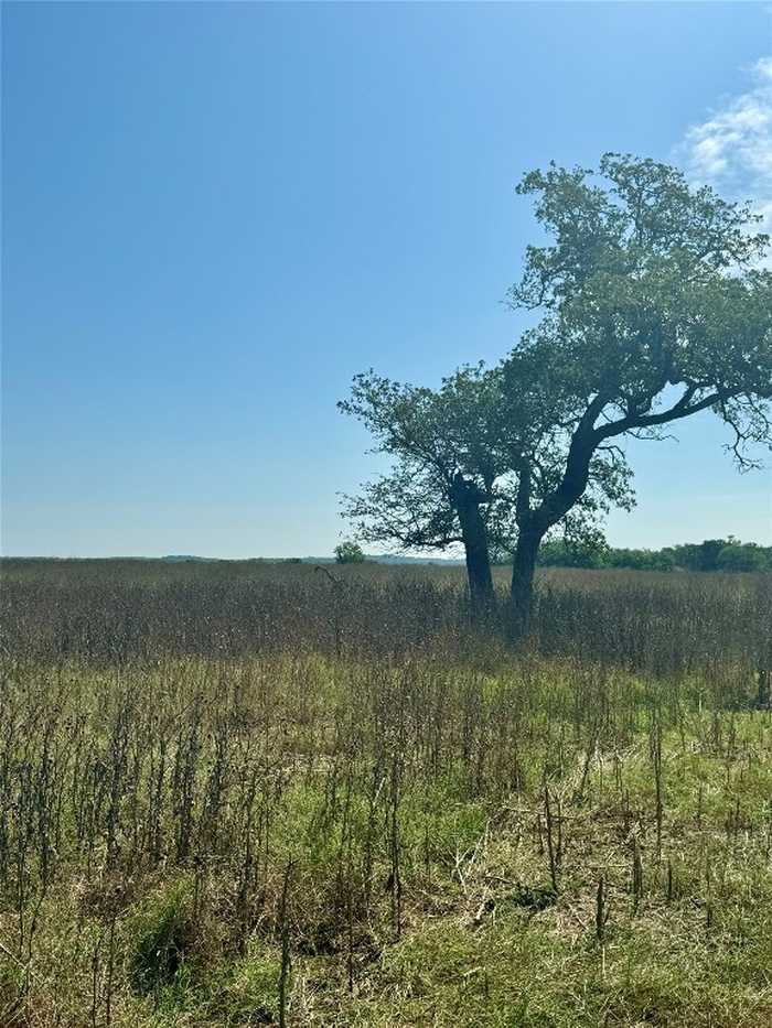 photo 1: TBD LOT TENNEY CREEK Road, Luling TX 78648