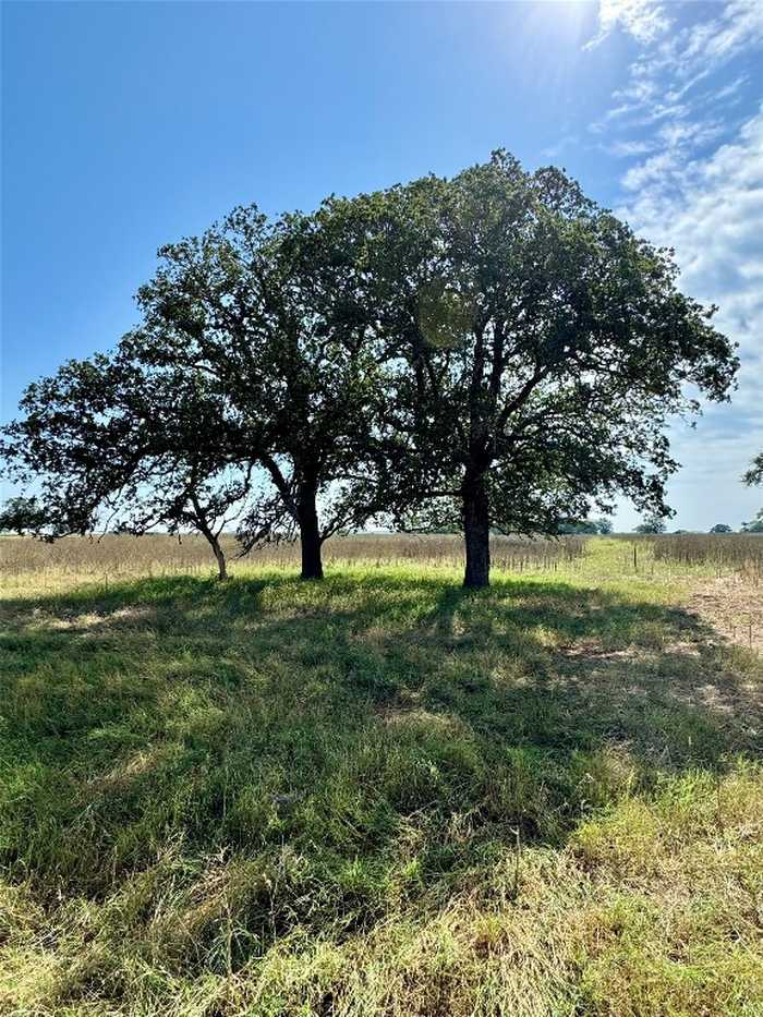 photo 2: TBD LOT TENNEY CREEK Road, Luling TX 78648