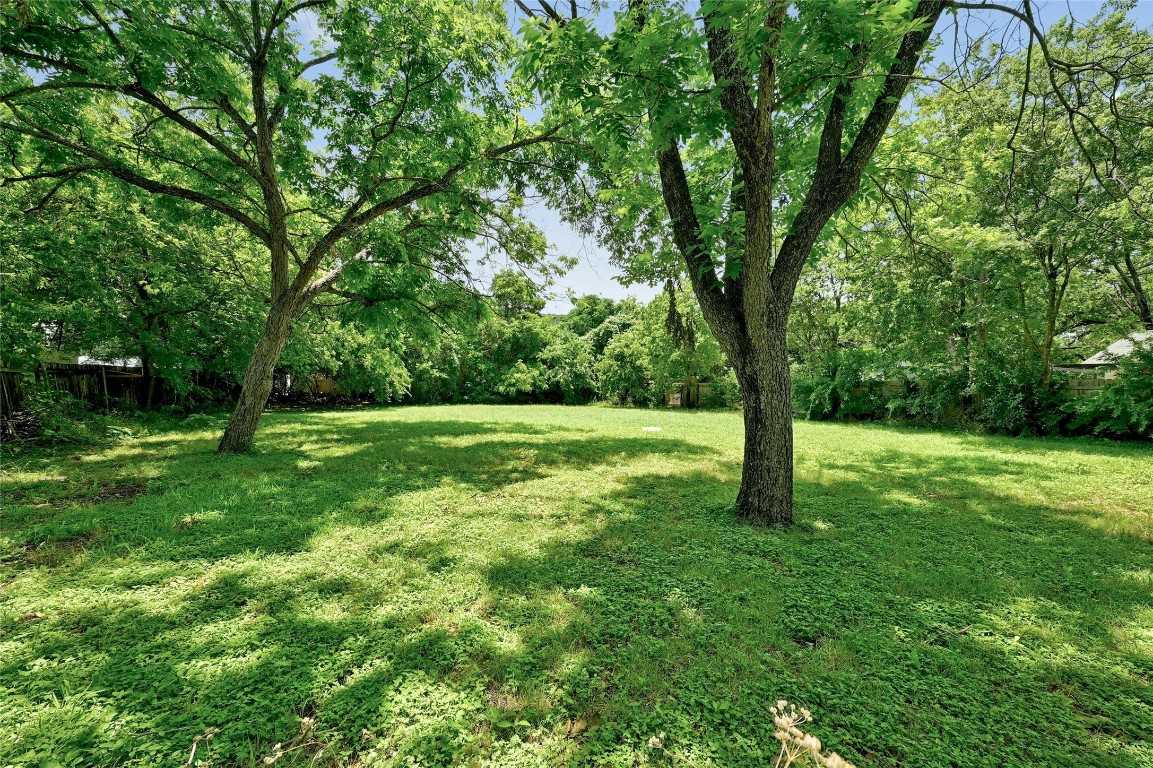 photo 3: 1509 Morgan Lane, Austin TX 78704