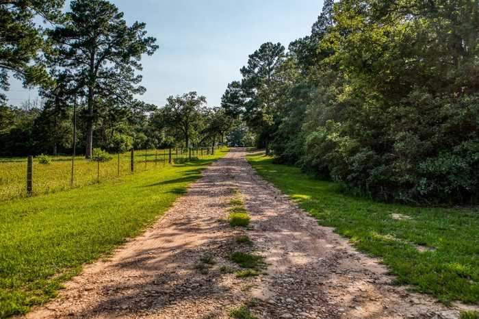 photo 2: TBD (15.682 Acres) Stockade Ranch Road, Paige TX 78659