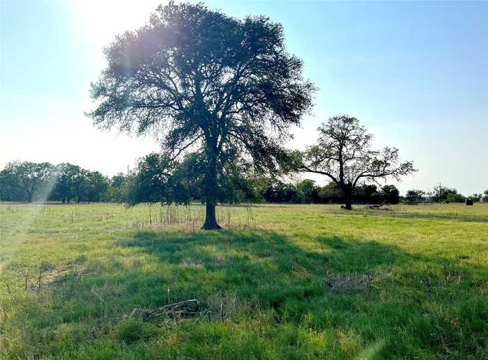 photo 7: Tenney Creek Road, Luling TX 78648