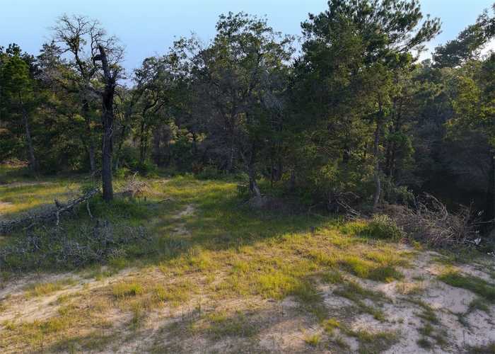 photo 2: LOT 16 County Road 322, Milano TX 76556