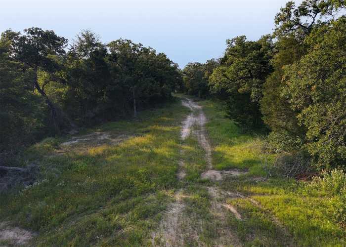 photo 4: LOT 16 County Road 322, Milano TX 76556