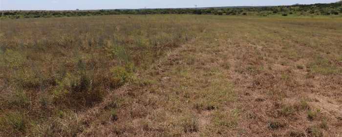 photo 3: TBD Lot 21 County Road 2800, Lometa TX 76853