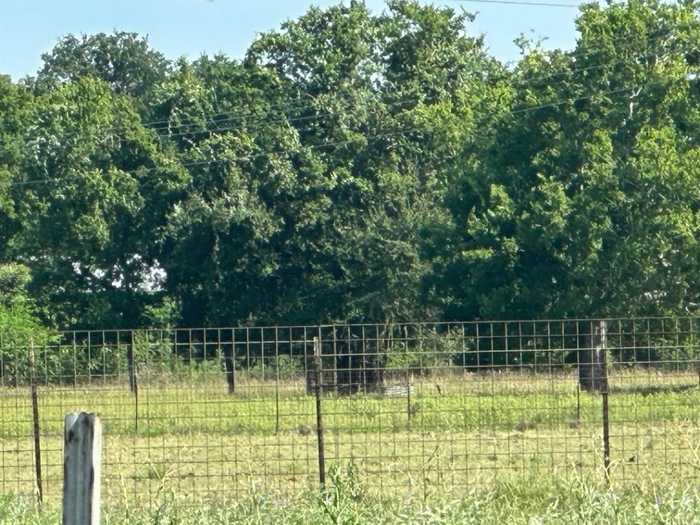 photo 2: Tbd Live Oak, Lexington TX 78947