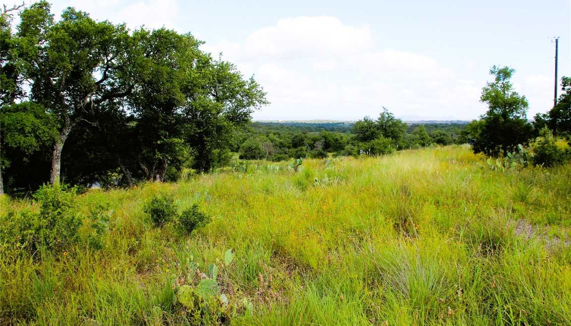 photo 2: Lot 5 Comanche Ridge, Round Mountain TX 78663