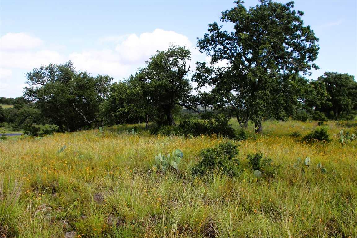 photo 3: Lot 5 Comanche Ridge, Round Mountain TX 78663