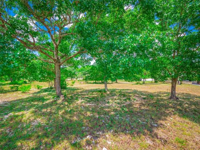 photo 11: 201 Dawna Len Drive, Burnet TX 78611